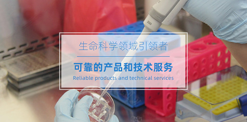 上海致备生物科技 卓越的技术服务赋能行业创新